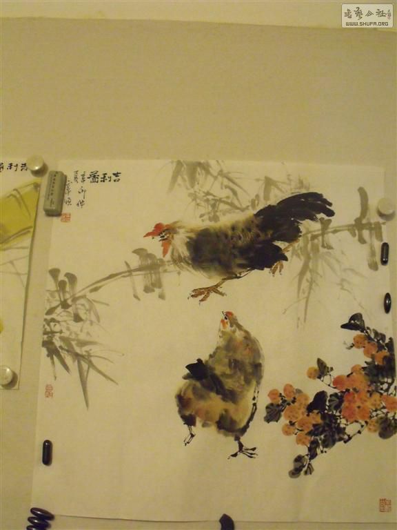 DSCF5859 ().JPG