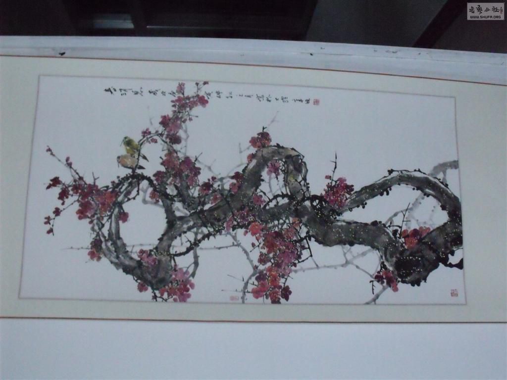 DSCF5873 ().JPG