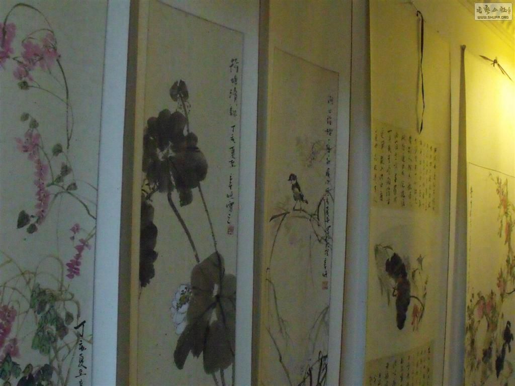 DSCF5877 ().JPG