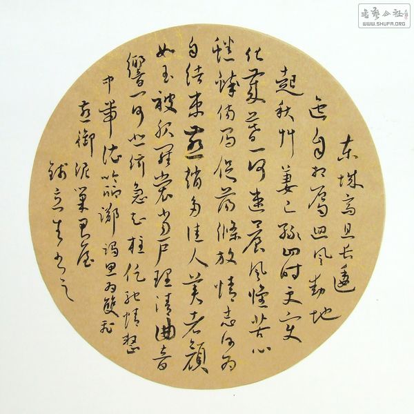 DSCF9736.JPG