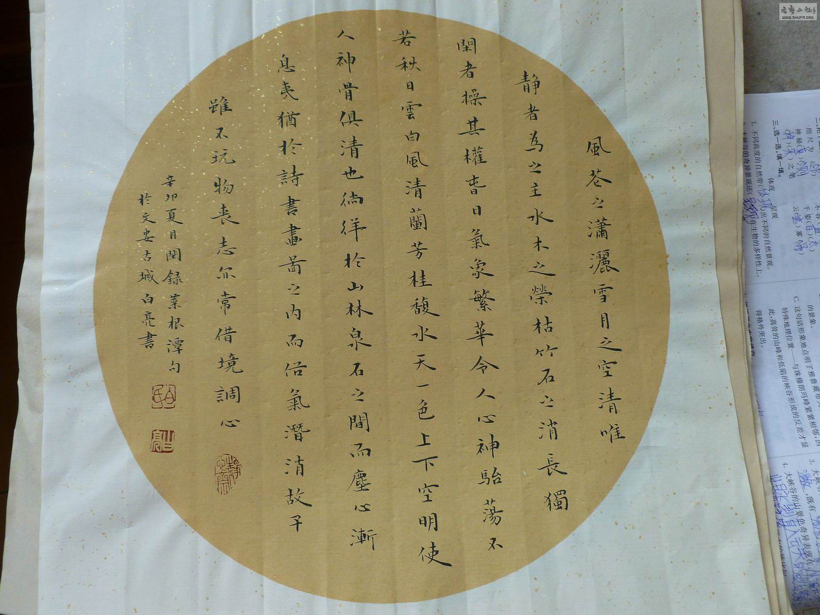 P1000107.JPG