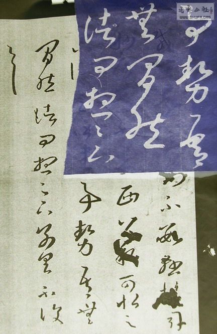 ȻƬ 004.JPG