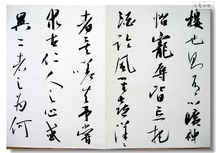 Ƭ 016.jpg