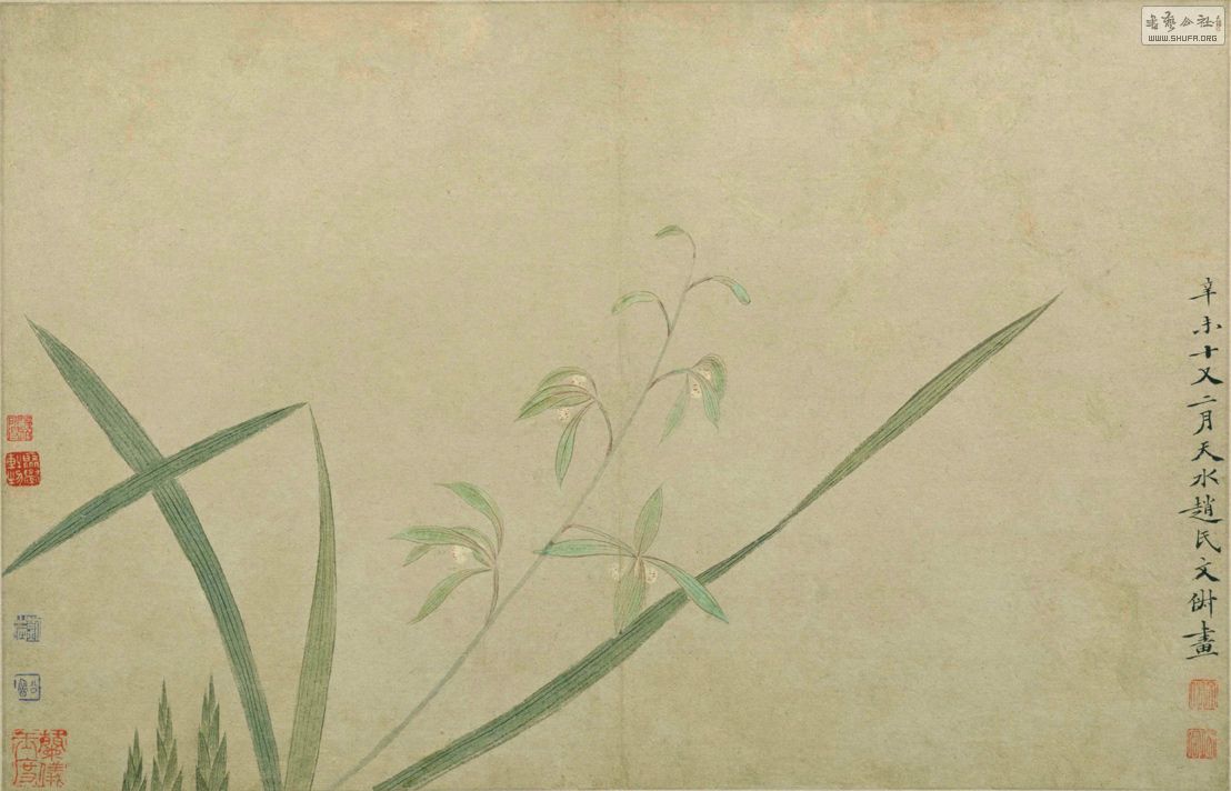 ڰ˿.jpg
