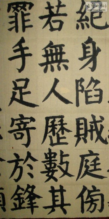 DSC06273.jpg