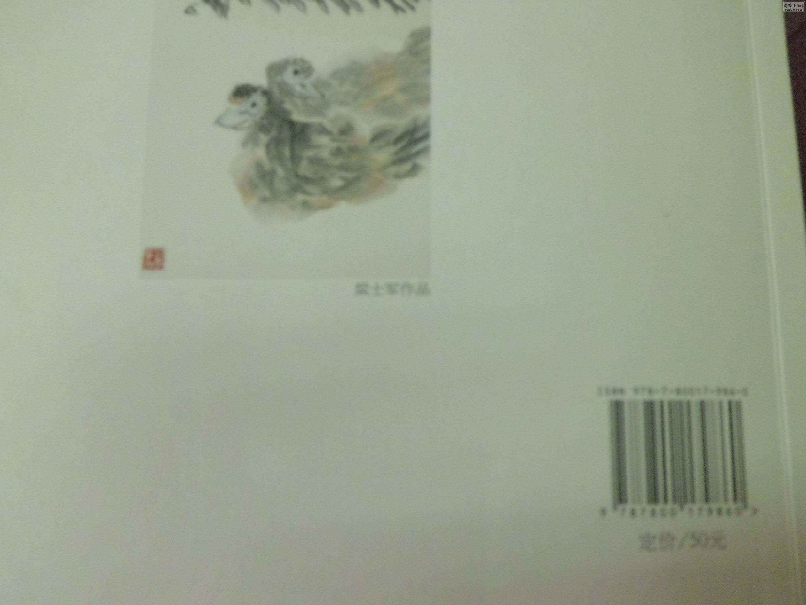 CIMG2701.JPG