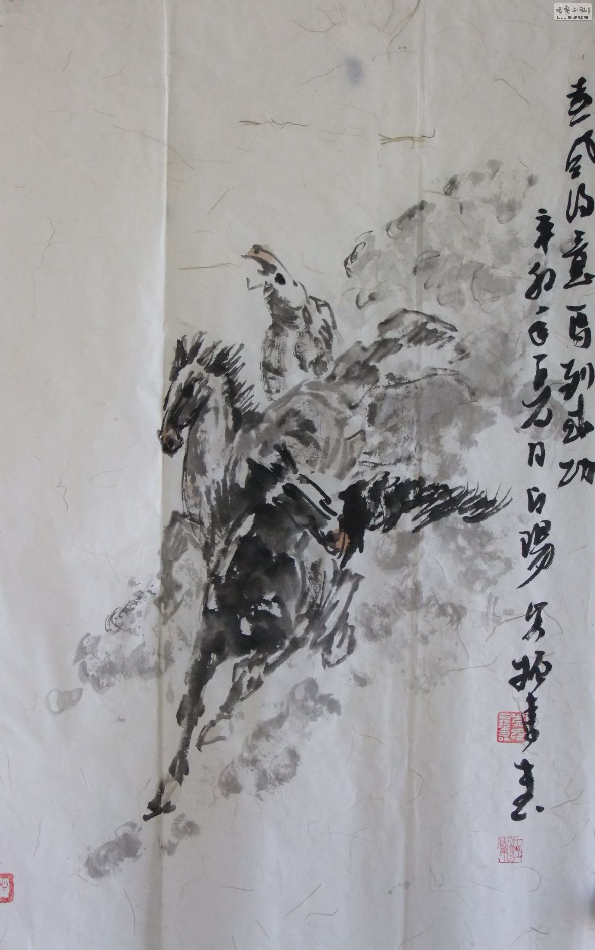 DSCF6970.jpg