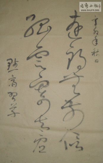 zxt1.jpg