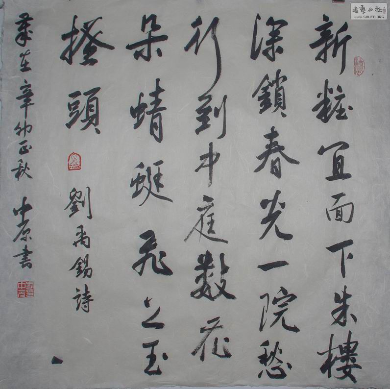 IMGP8456.jpg