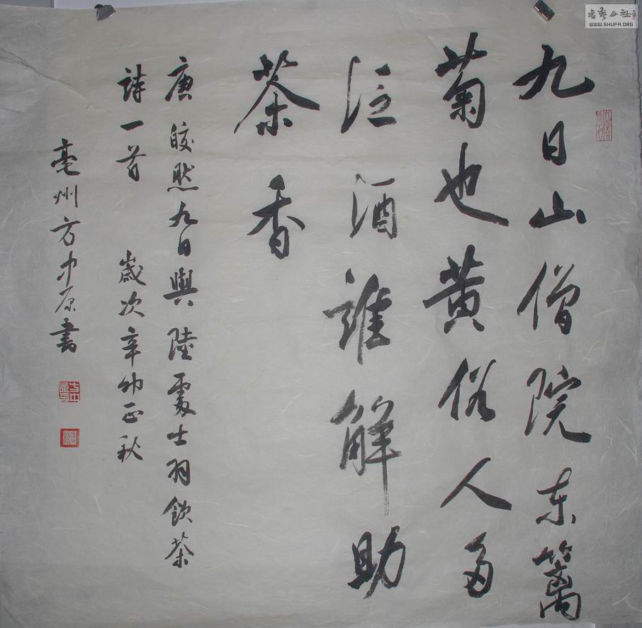 IMGP8458.jpg