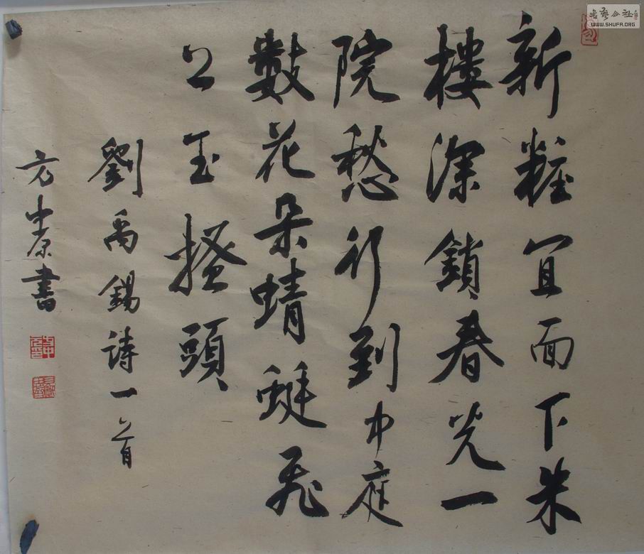 IMGP8452.jpg