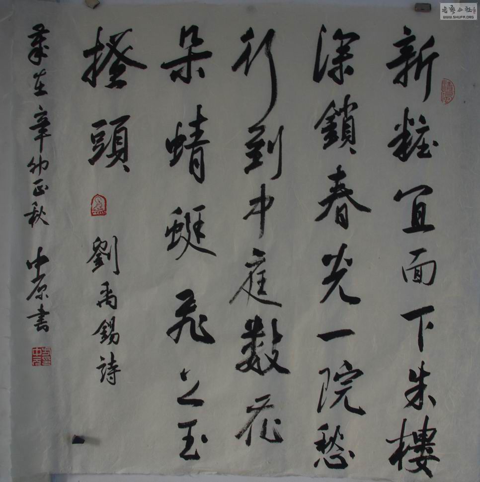 IMGP8454.jpg
