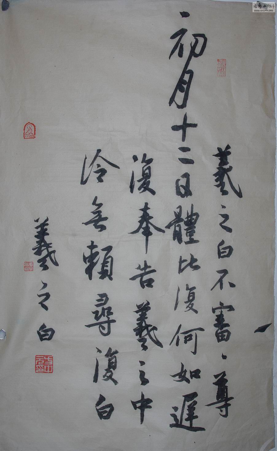 IMGP8490.jpg
