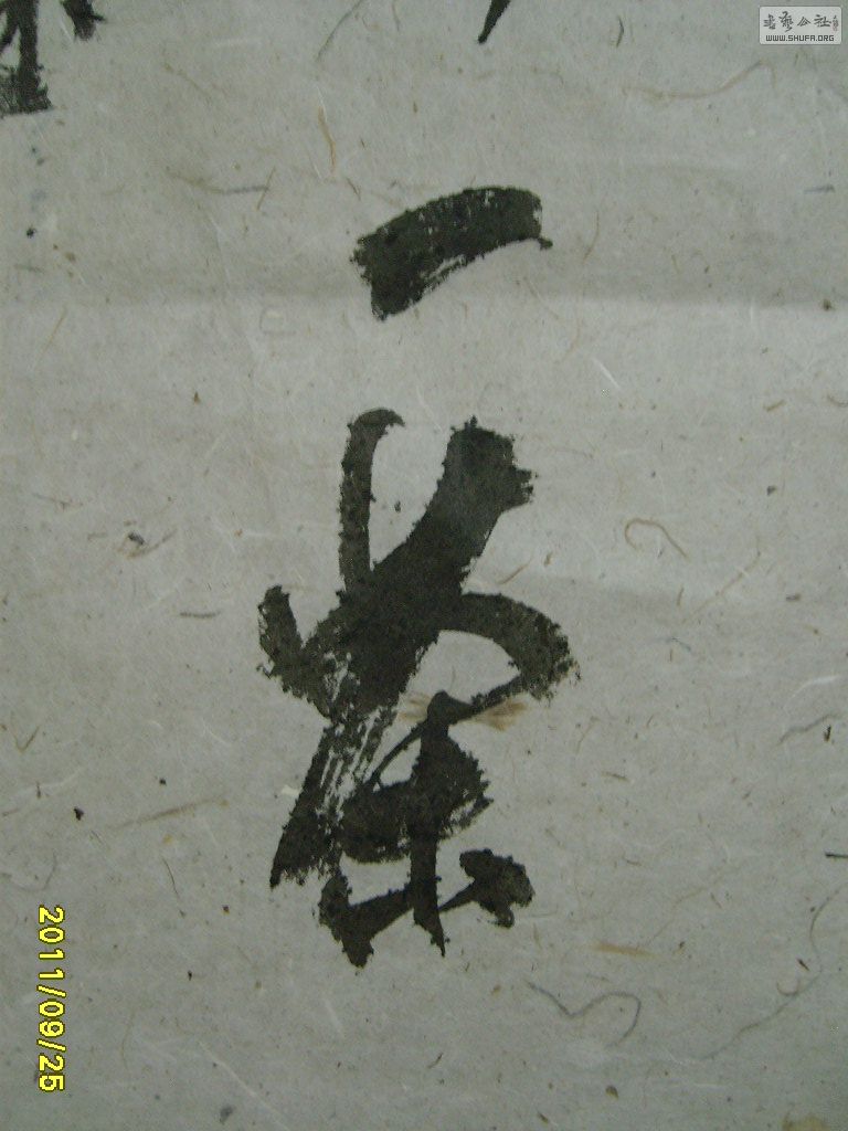 S6002726.JPG