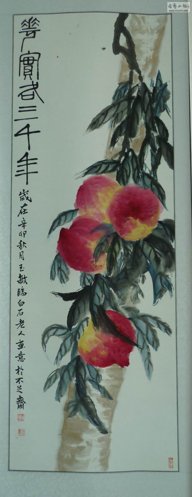 P1010040.JPG