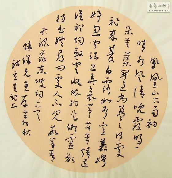 DSCF9798.JPG
