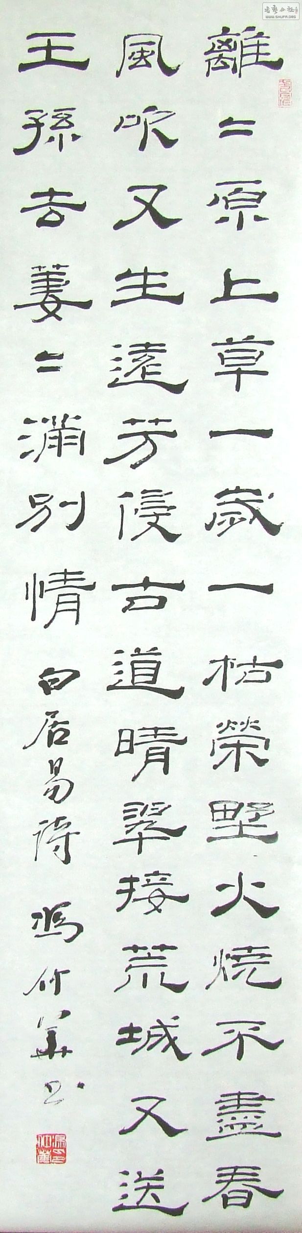 DSCF9813.JPG