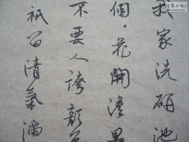 P1000535.JPG