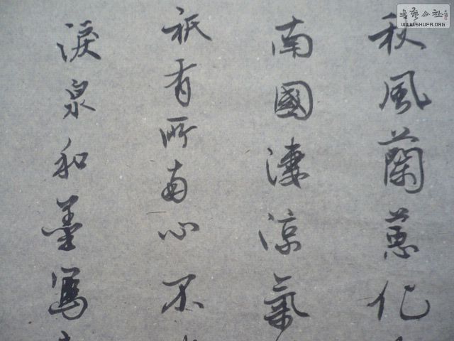 P1000537.JPG