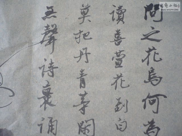 P1000525.JPG