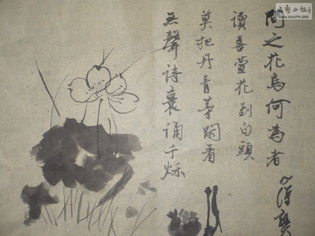 P1000522.JPG