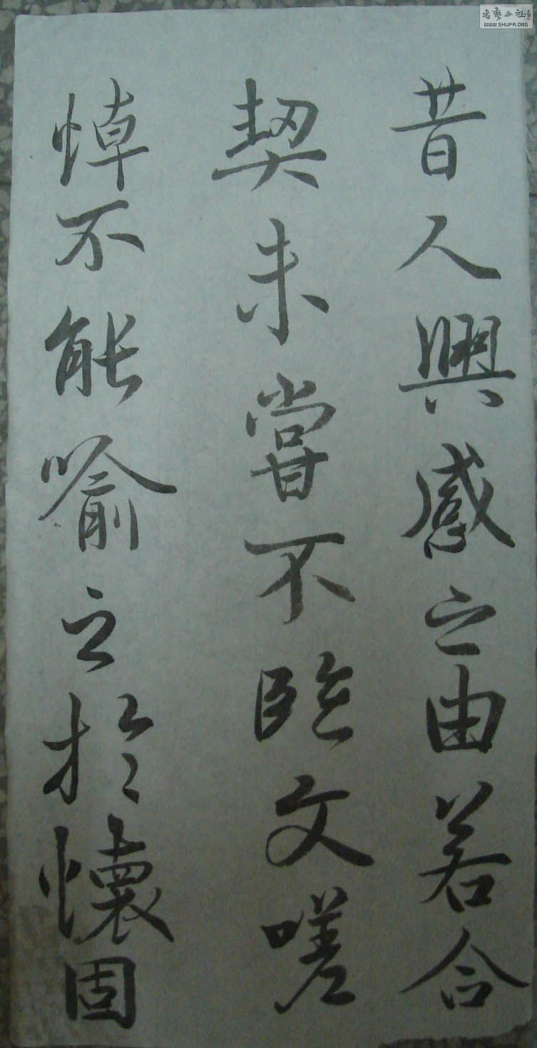 DSC01074.jpg
