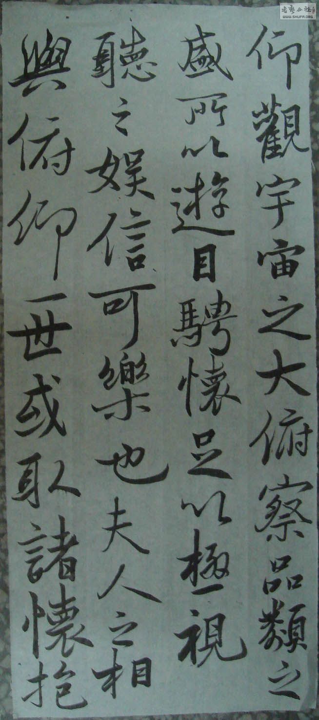 DSC01077.jpg