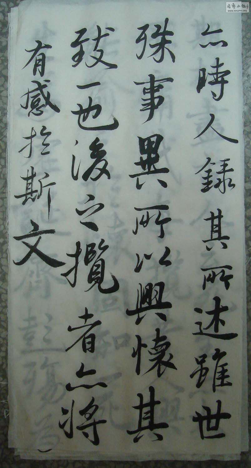 DSC01071.jpg