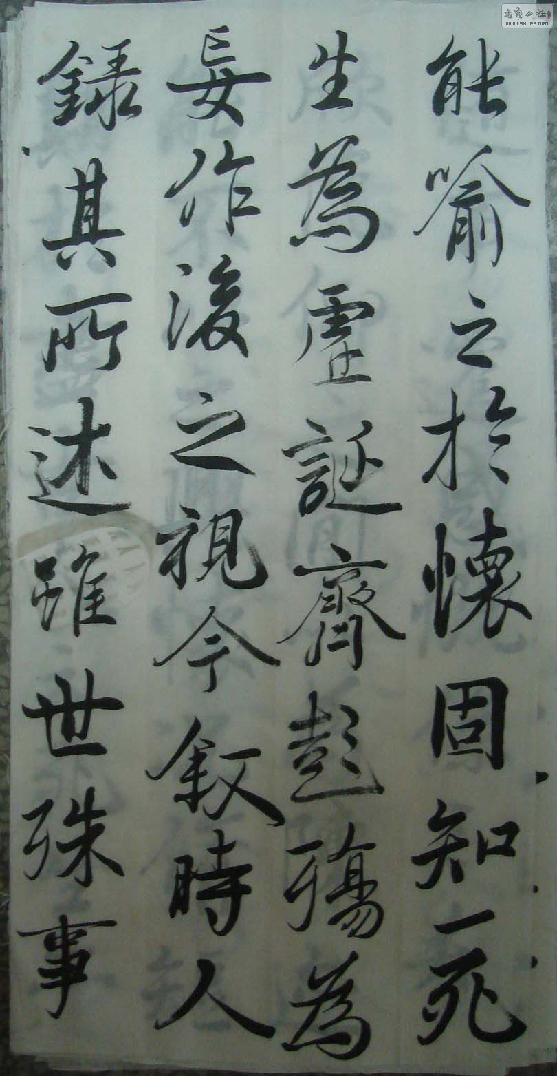 DSC01068.jpg