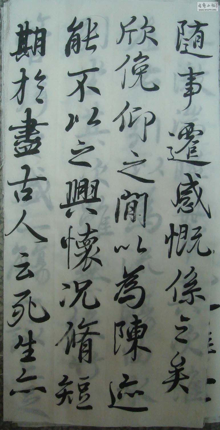 DSC01069.jpg