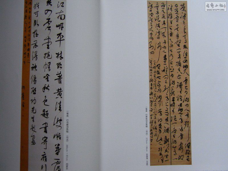 RIMG0287 (800x600).jpg