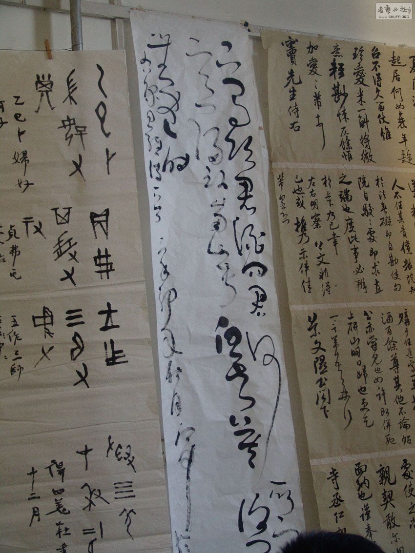 DSC02448.jpg