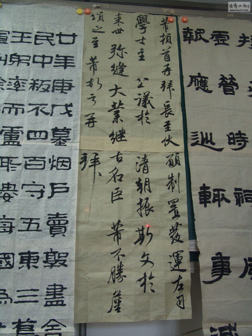 DSC02499.jpg