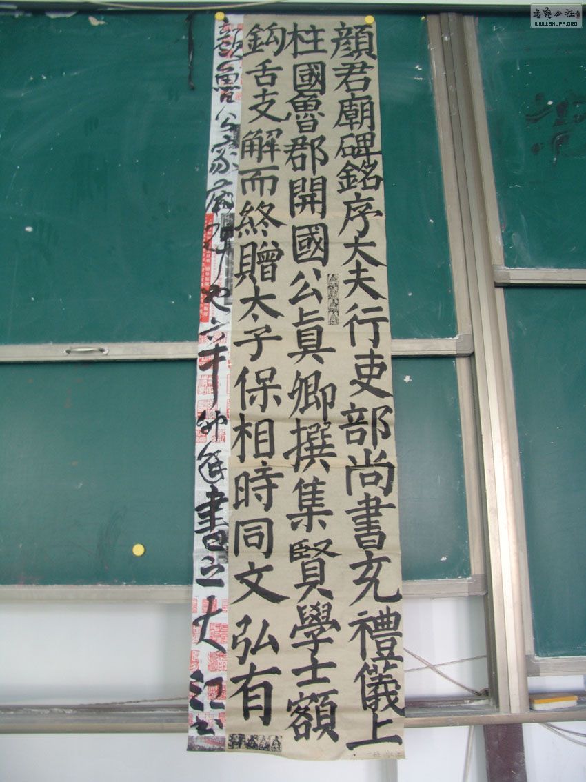 DSC02546.jpg