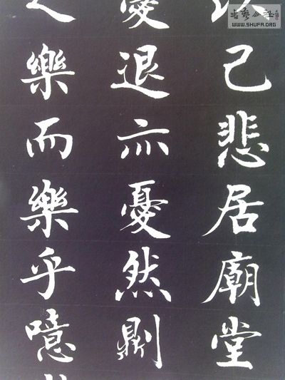 20100905291-.JPG