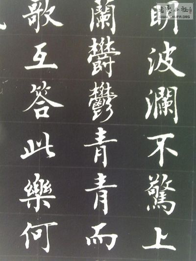 20100905293-.JPG