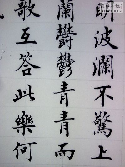 20100905293.jpg