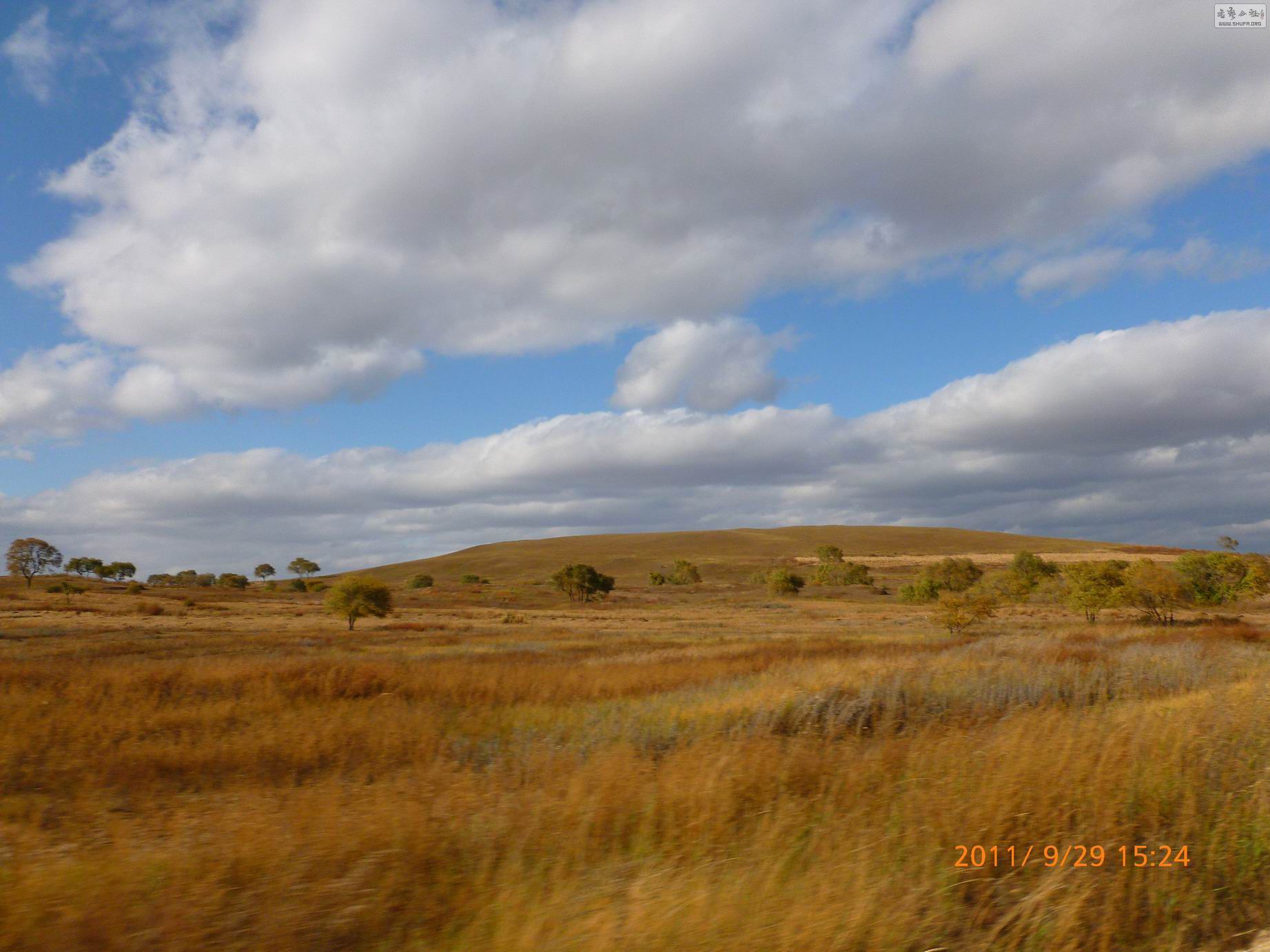 P1000495.JPG