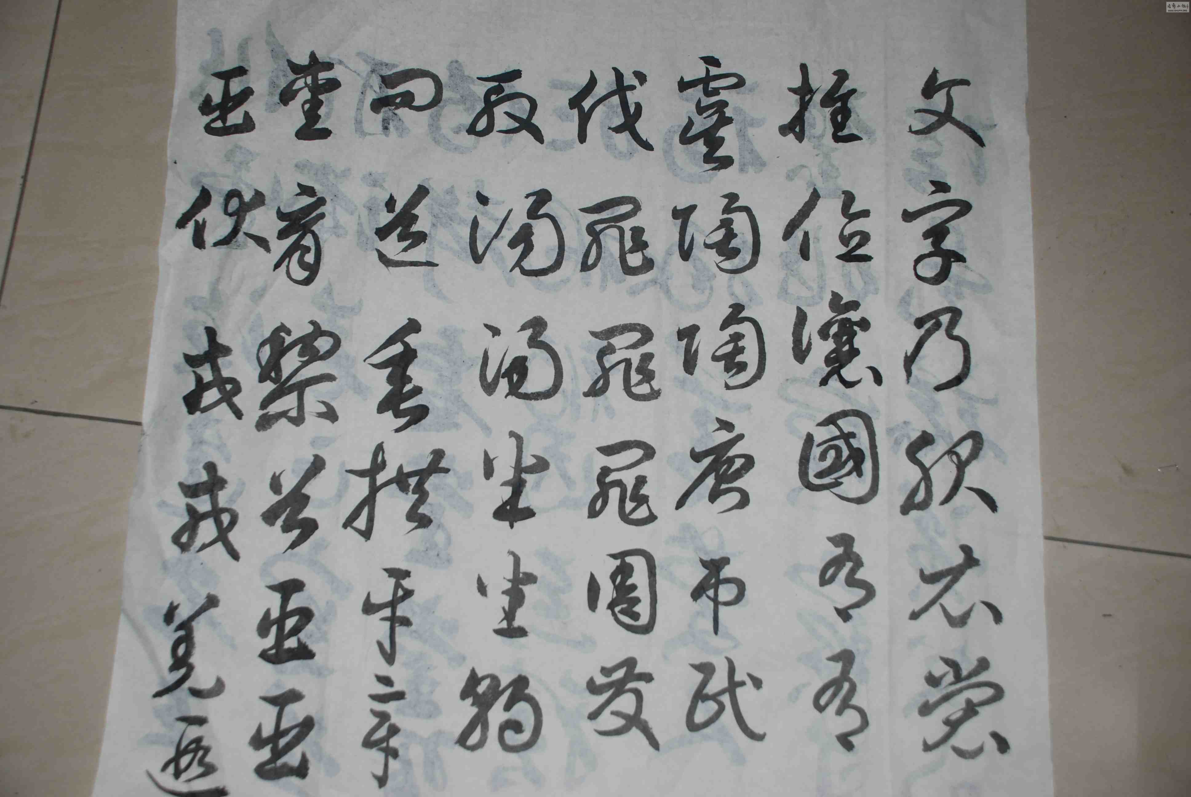 DSC_0050.jpg