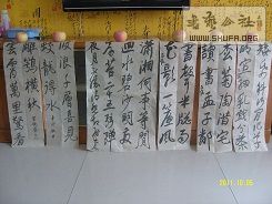 SNV81348.JPG
