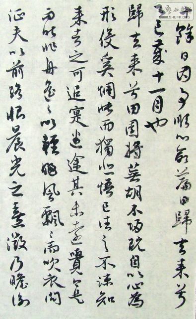 DSCF9864.JPG