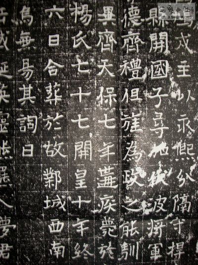 77.jpg