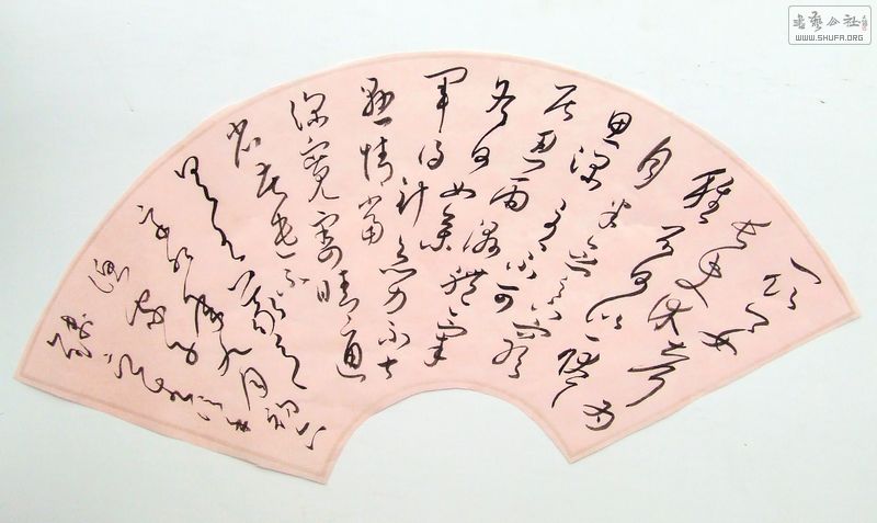 DSCF9899.JPG
