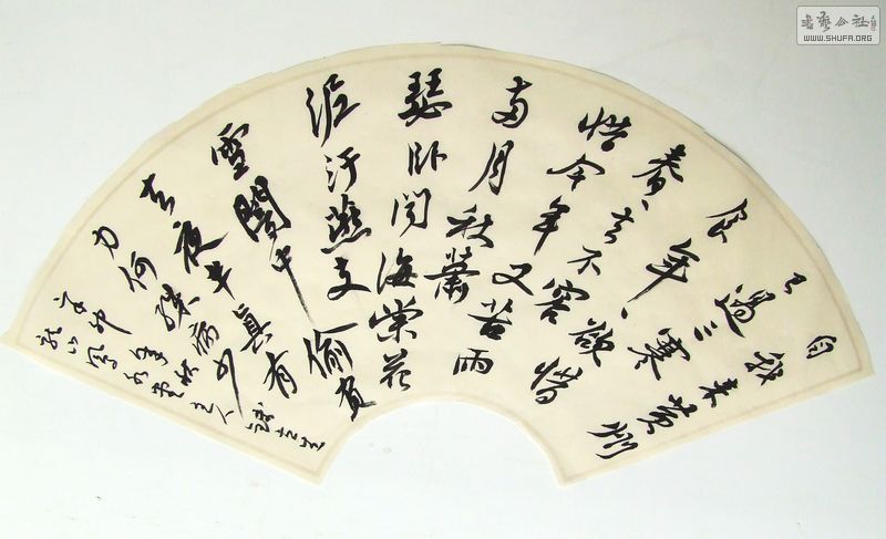 DSCF9891.JPG