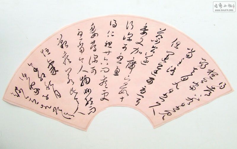 DSCF9895.JPG