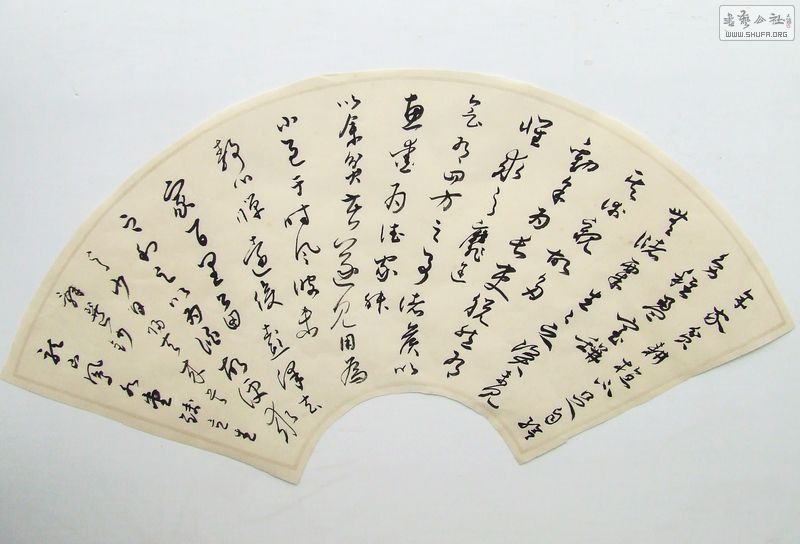 DSCF9906.JPG
