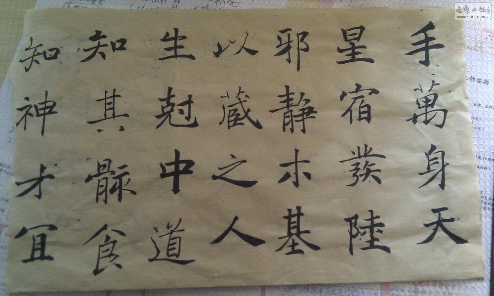IMAG0046.jpg