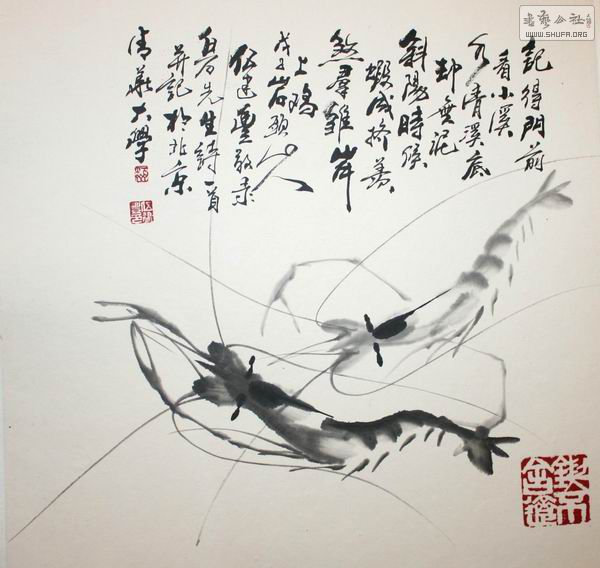 xin_450506021207296528911[2].jpg