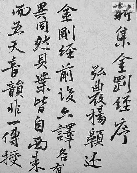 P1100279.jpg