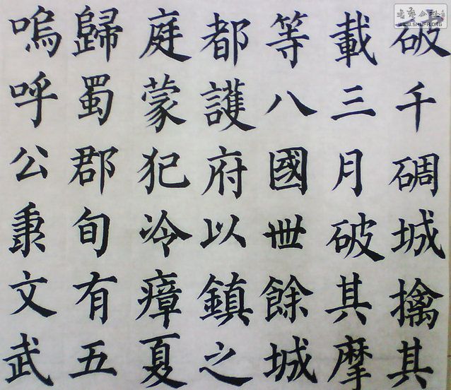 鼺ֲ14.jpg
